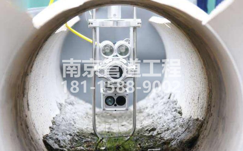 221红山公园QV检测